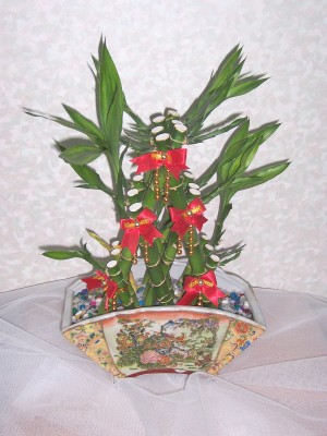 編號:B2 NT$:1500